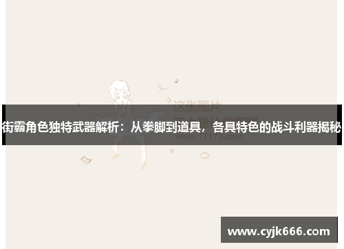 街霸角色独特武器解析：从拳脚到道具，各具特色的战斗利器揭秘